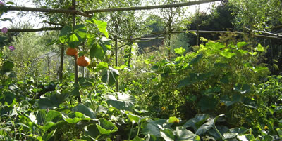 Proeftuin Madestein Madesteintuin in nazomer 2009
