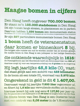 HaagseBomen 140012 3