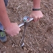 Penetrometer