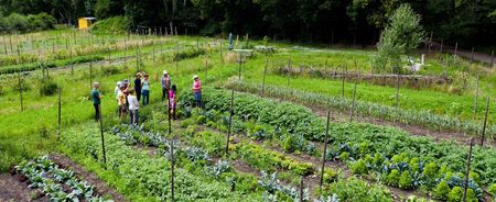 Tuinderij de Veldhof