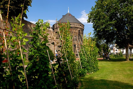 Andernach essbare Stadt