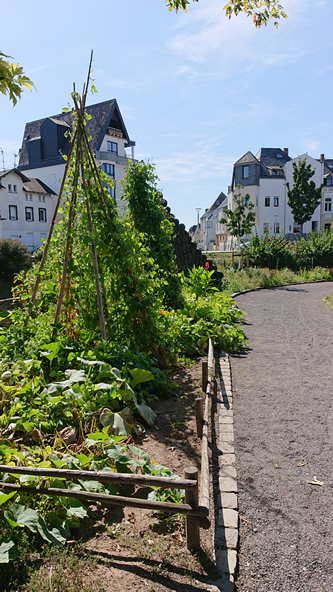 Andernach oude stadsmuur