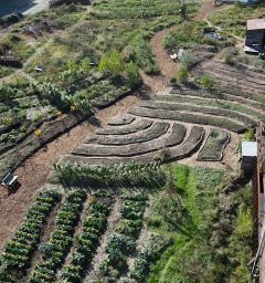 Een tuinontwerp waar Max bij betrokken is