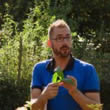 Bosbaas Bosbaas Edwin aan het werk