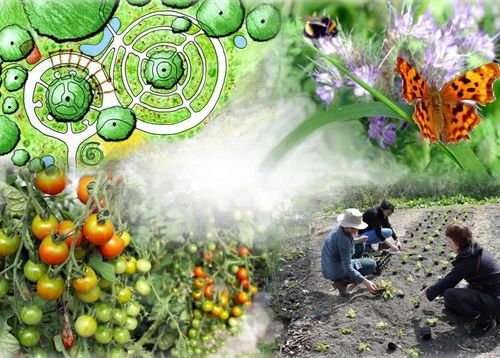 Ontwerp Collage