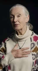 Jane Goodall's boodschap