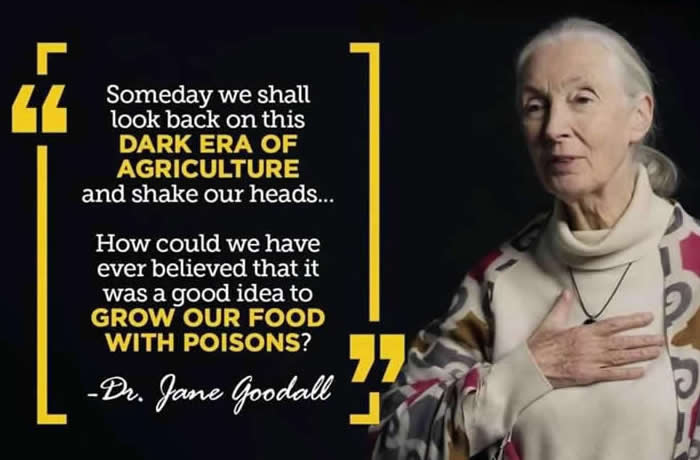 Jane Goodall on Agriculture