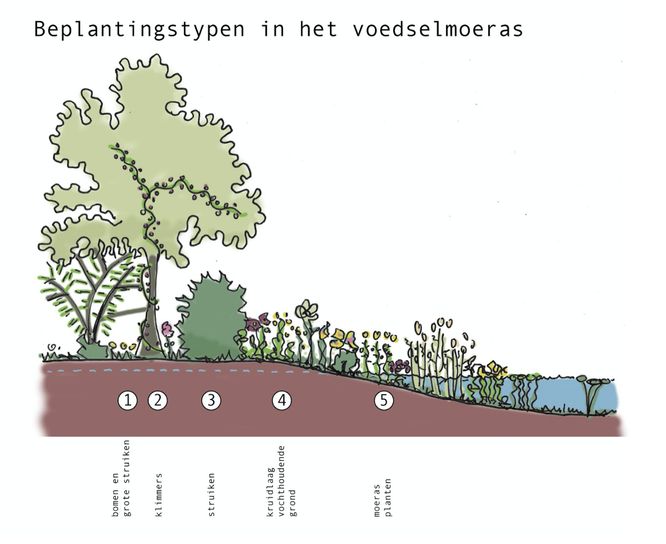 voedselmoerasbos 2