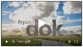 Grondwerkers FryslanDok