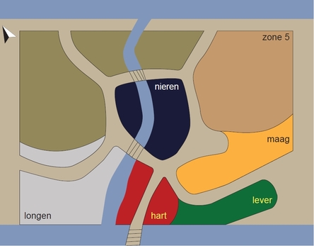 medicinaal voedselbopsje plattegrond 1