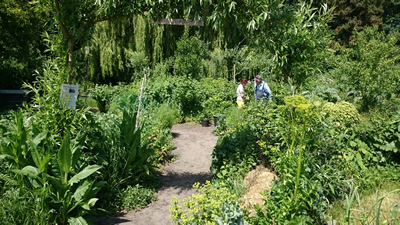 Eetbaar Park II