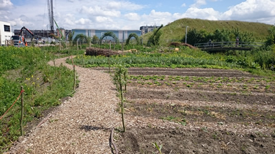 Proeftuin Delft