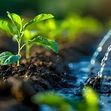 water irrigation 111