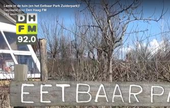 Den Haag FM op Zuiderpark screenshot